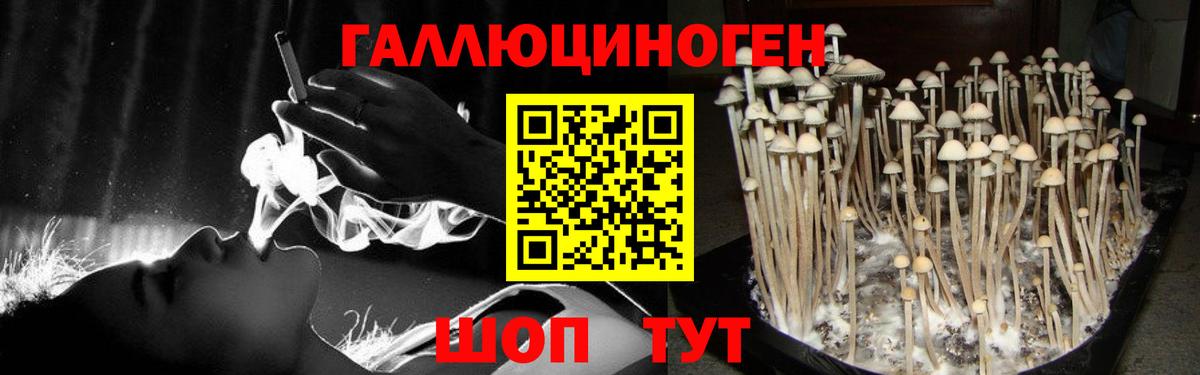 Галлюциногенные грибы ЛСД  цены наркотик  Новочебоксарск  Вход с VPN 